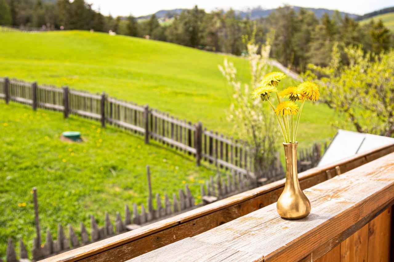 Apartment Dolomites Nest Сан Мартино ин Бадия Екстериор снимка