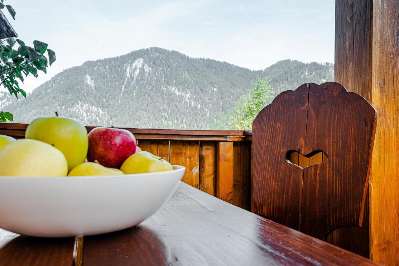Apartment Dolomites Nest Сан Мартино ин Бадия Екстериор снимка